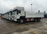 Grande de múltiplos propósitos Carga Van toneladas do Euro de 6X4 LHD de Caminhão 25 - 45 2 336HP