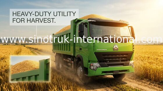 Caminhão basculante pesado RHD 6X4 de SINOTRUK HOWO para a carga do material de construção