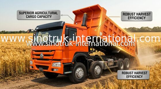 O caminhão de caminhão basculante SINOTRUK HOWO 371HP 12 roda LHD 31 toneladas de 20-30CBM ZZ3317N3567W