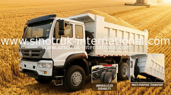 Príncipe dourado camião basculante 10Wheels 336HP LHD 25-30tons ZZ3251N3641W de SINOTRUK