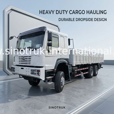 Sinotruk Howo Cargo Truck 6 × 6 All Wheel Drive Lhd 10 Wheels Long Cargo Box