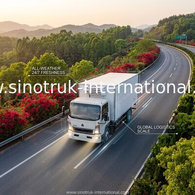 Caminhão refrigerado de 10 toneladas 160HP RHD de SINOTRUK HOWO