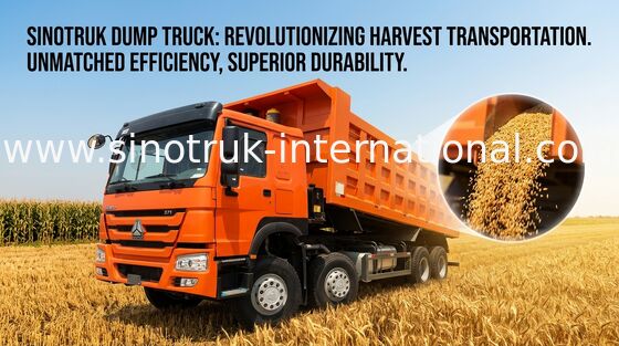 O camião basculante SINOTRUK HOWO 371HP 12 roda LHD 31tons 20-30CBM ZZ3317N3867W